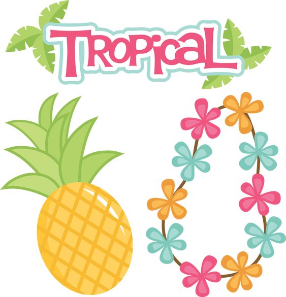 School Spirit Day Tropical Day Thursday June 24 Mary Bergeron Elementary